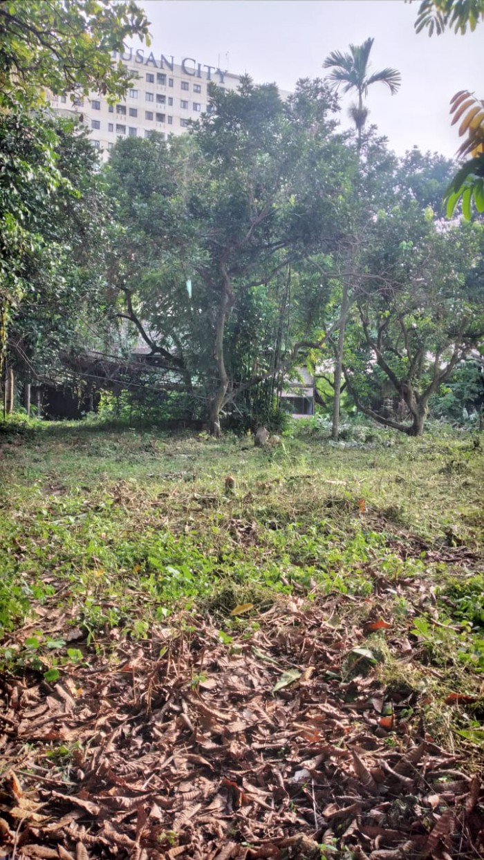 Tanah dijual di Kebagusan Pasar Minggu Jakarta Selatan